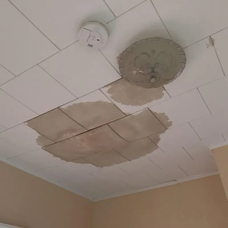 Ceiling Water Damage Repair in Pawnee County, NE
