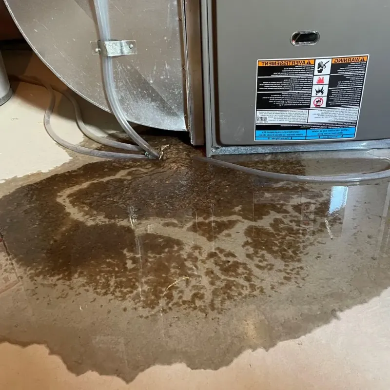 Pipe Burst and Leak Restoration in Pawnee County, NE